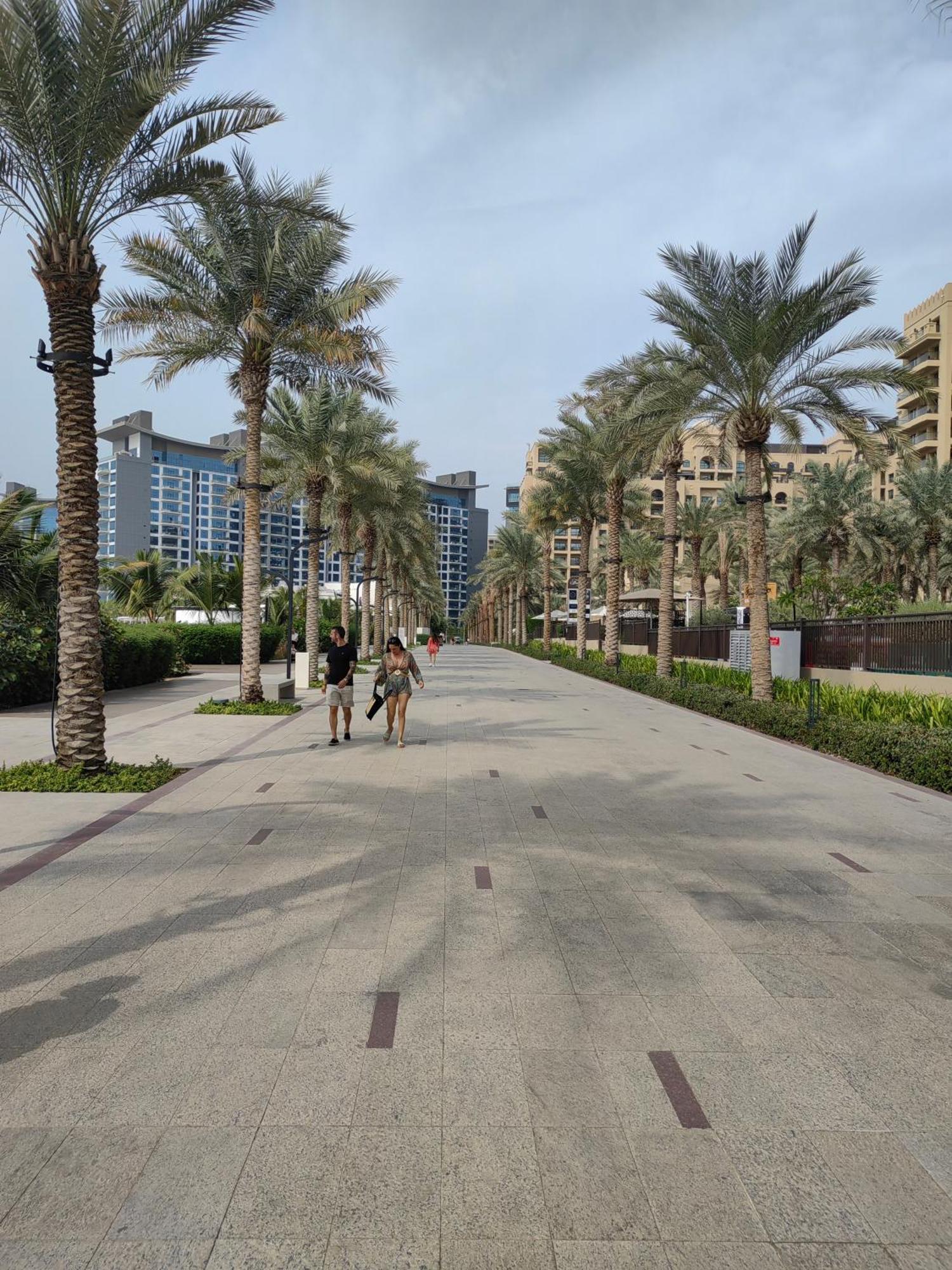 דובאי 7 Palm Jumeirah מראה חיצוני תמונה